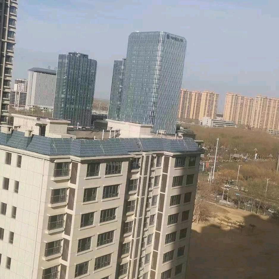 甄庄有个延新？