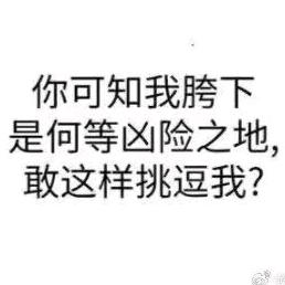 你这猫不对劲（妈妈们我限流了求推荐）