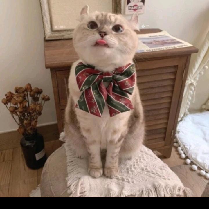 心态如愿
