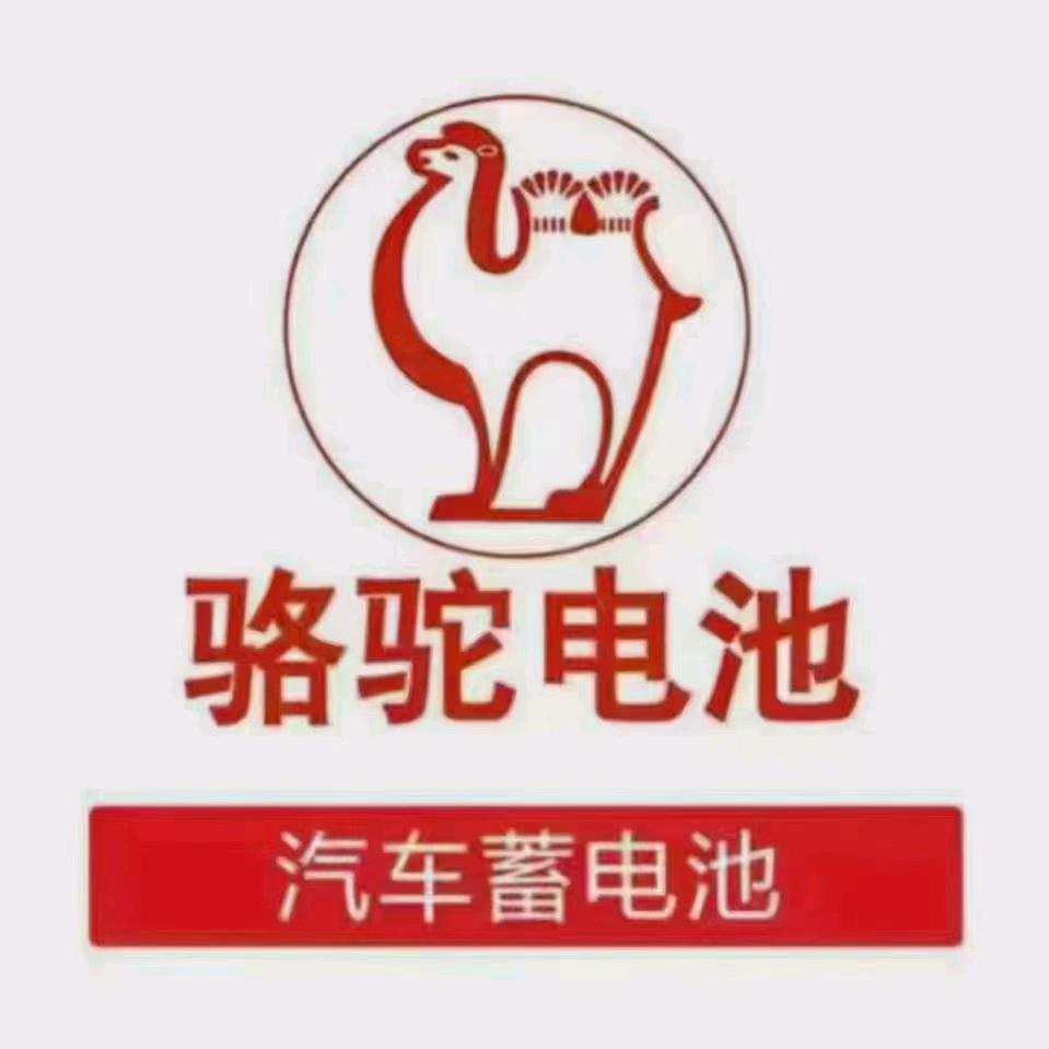 黄坑骆驼电池