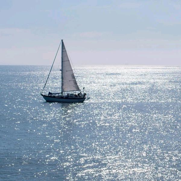 🍂秋风起落叶🍂月明海上升