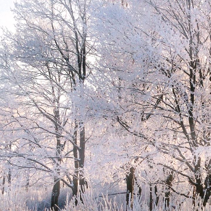 如果…（拒绝连赞）