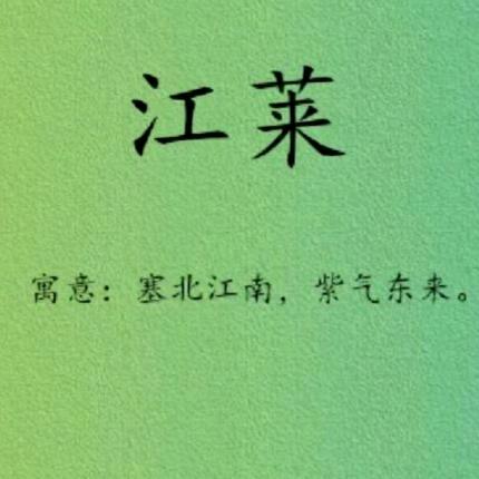 江莱演出游玩