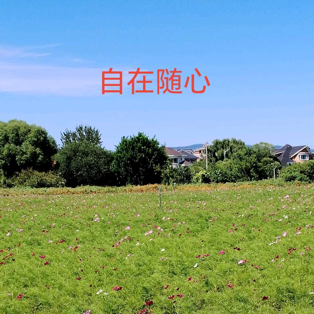 自在随心