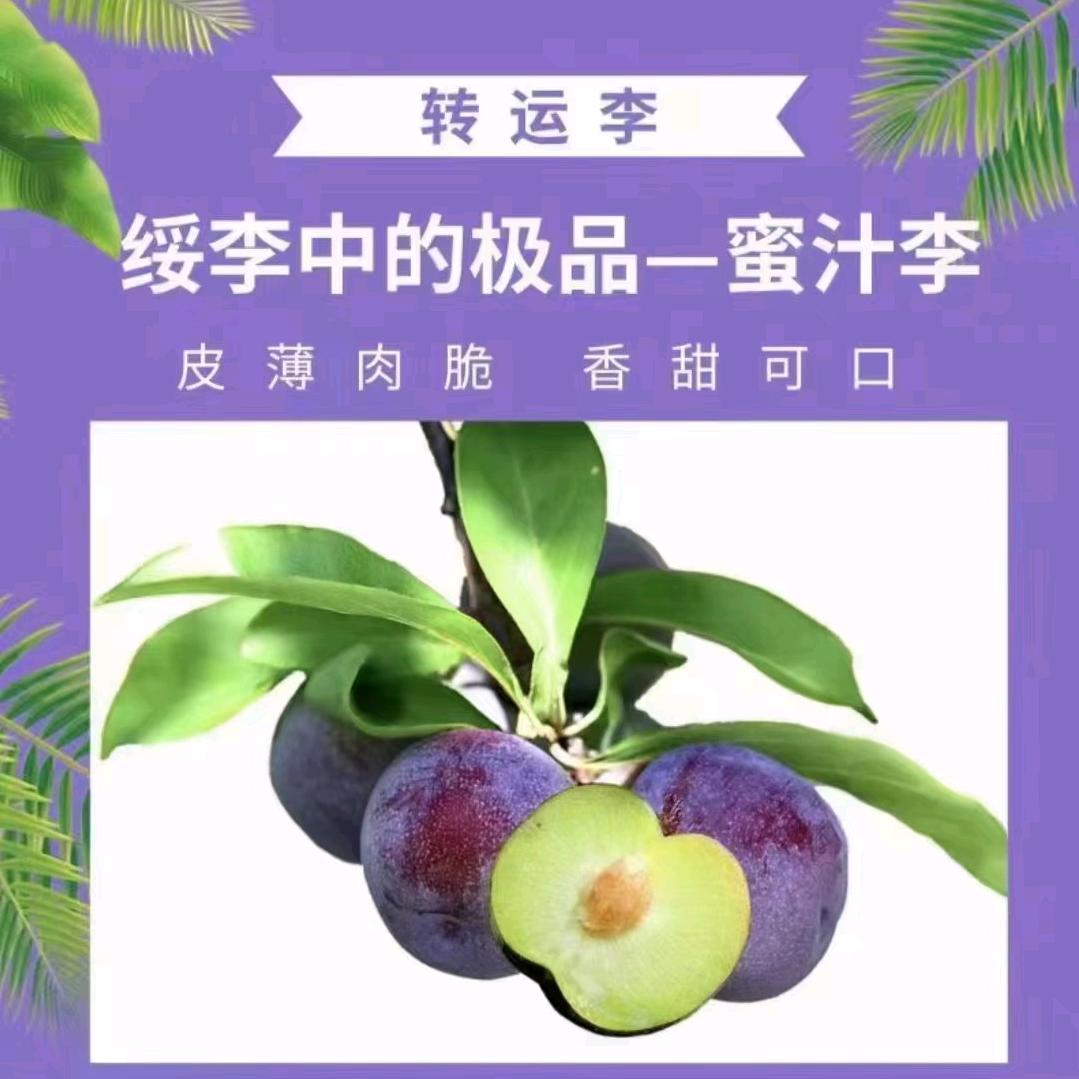 绥心所遇。江湖有李