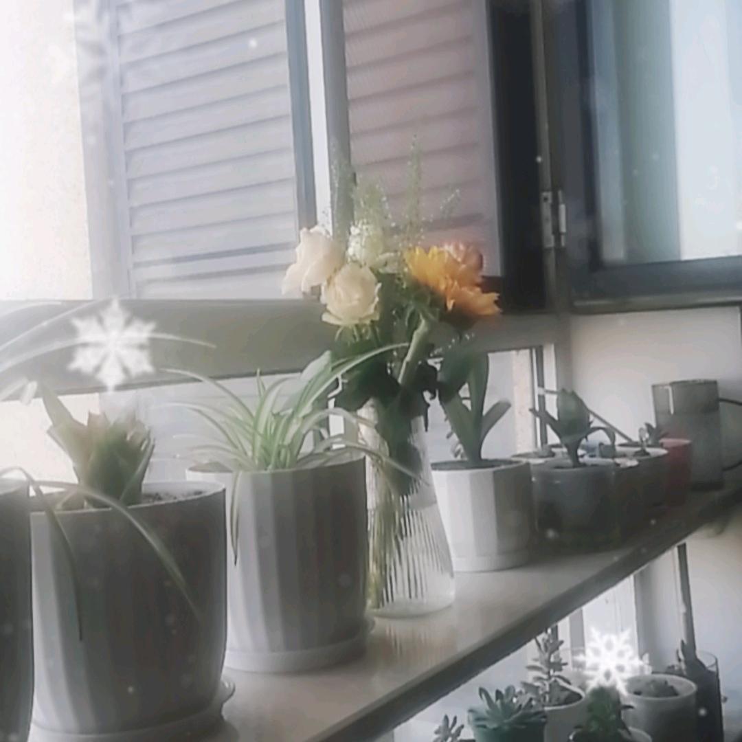 奔跑杨哥¹¹²⁸