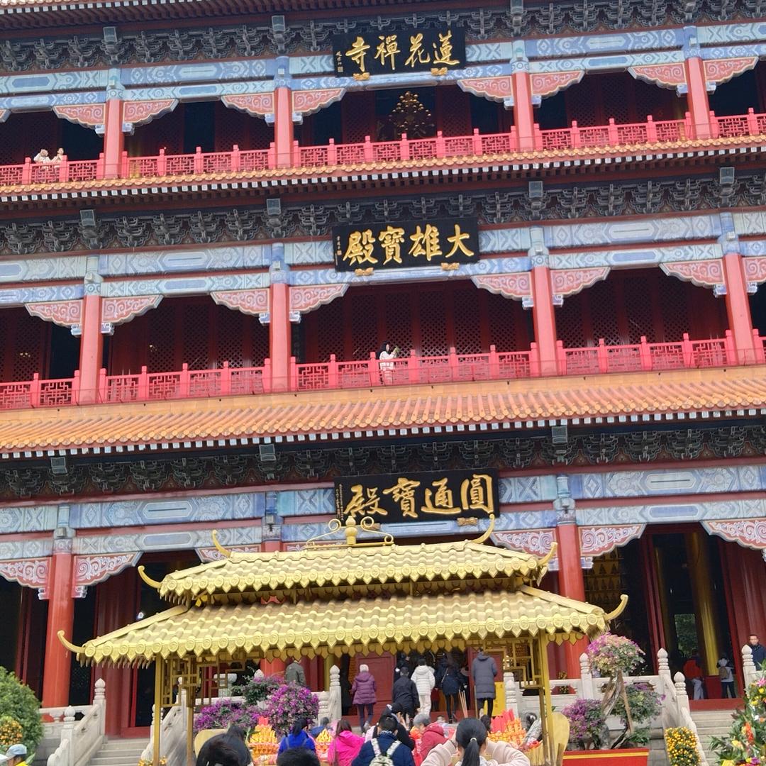 罗非鱼