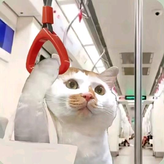 云清