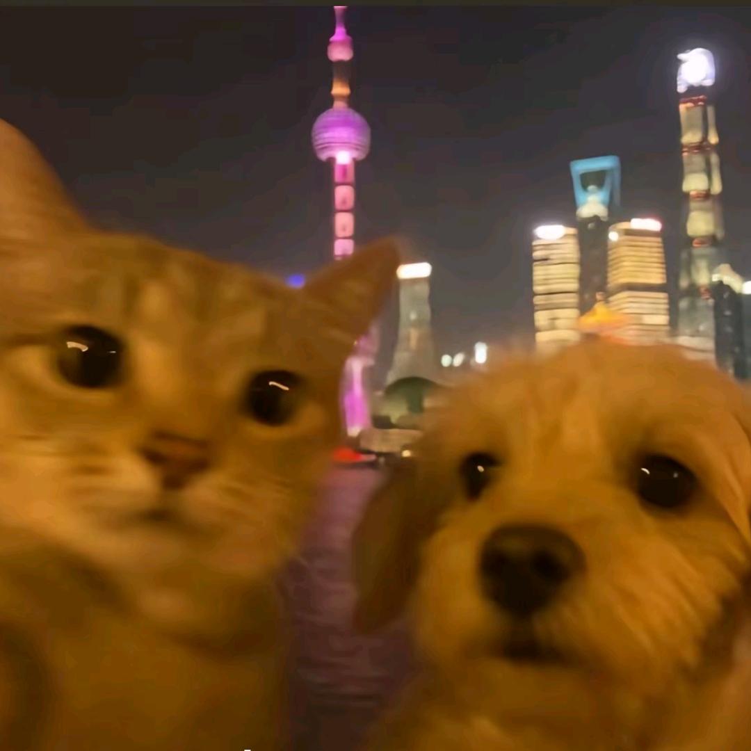 与夏夕照
