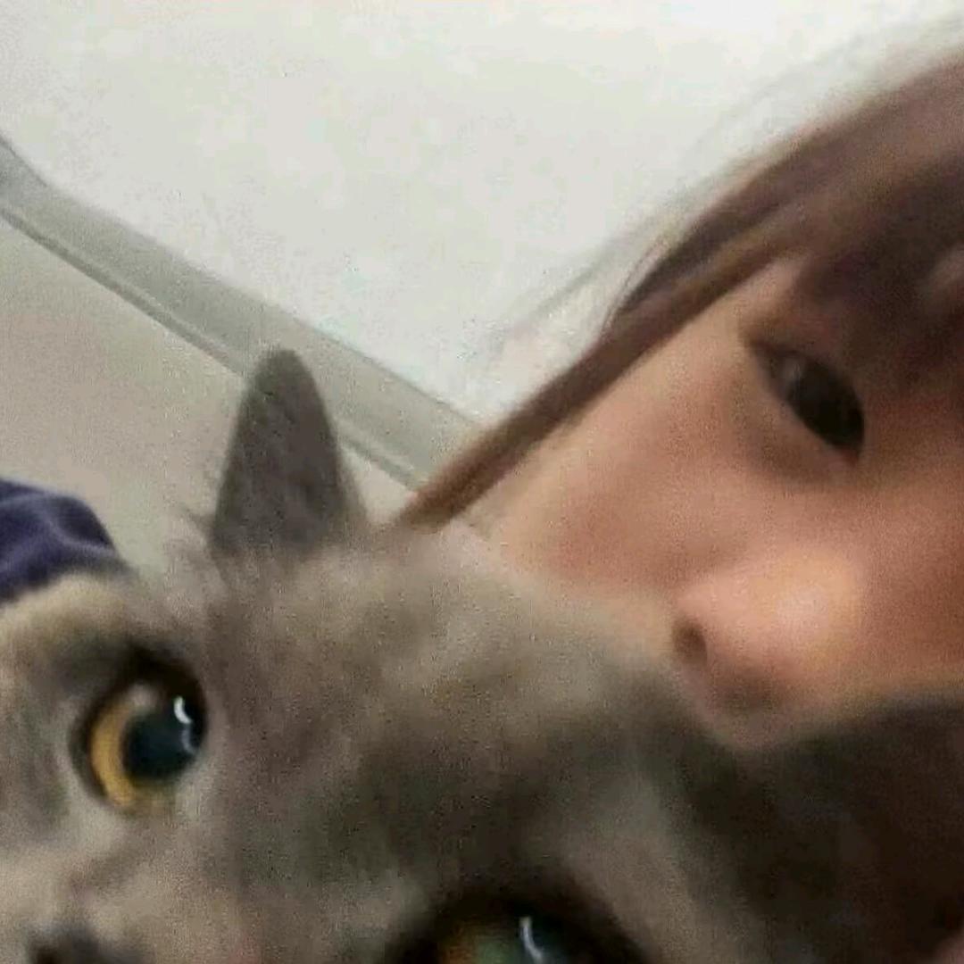 𝙆𝙤𝙞魚