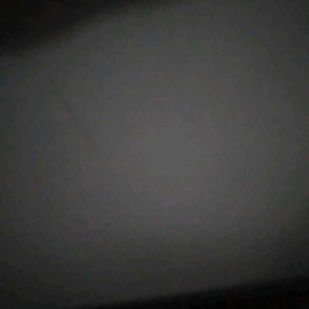 青春不悔梦不醒