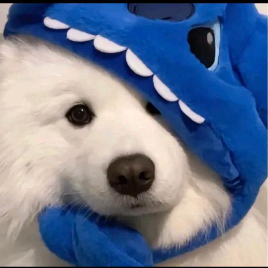 临诀往彻