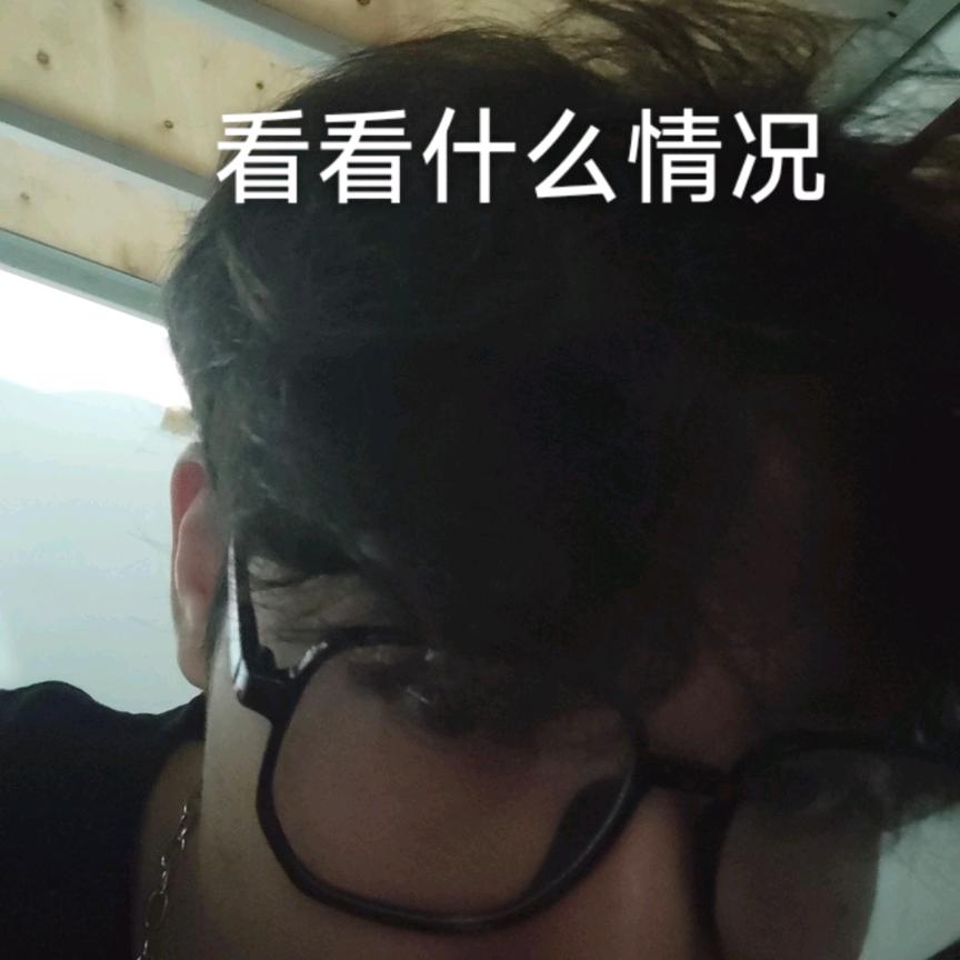 鹤漆哥