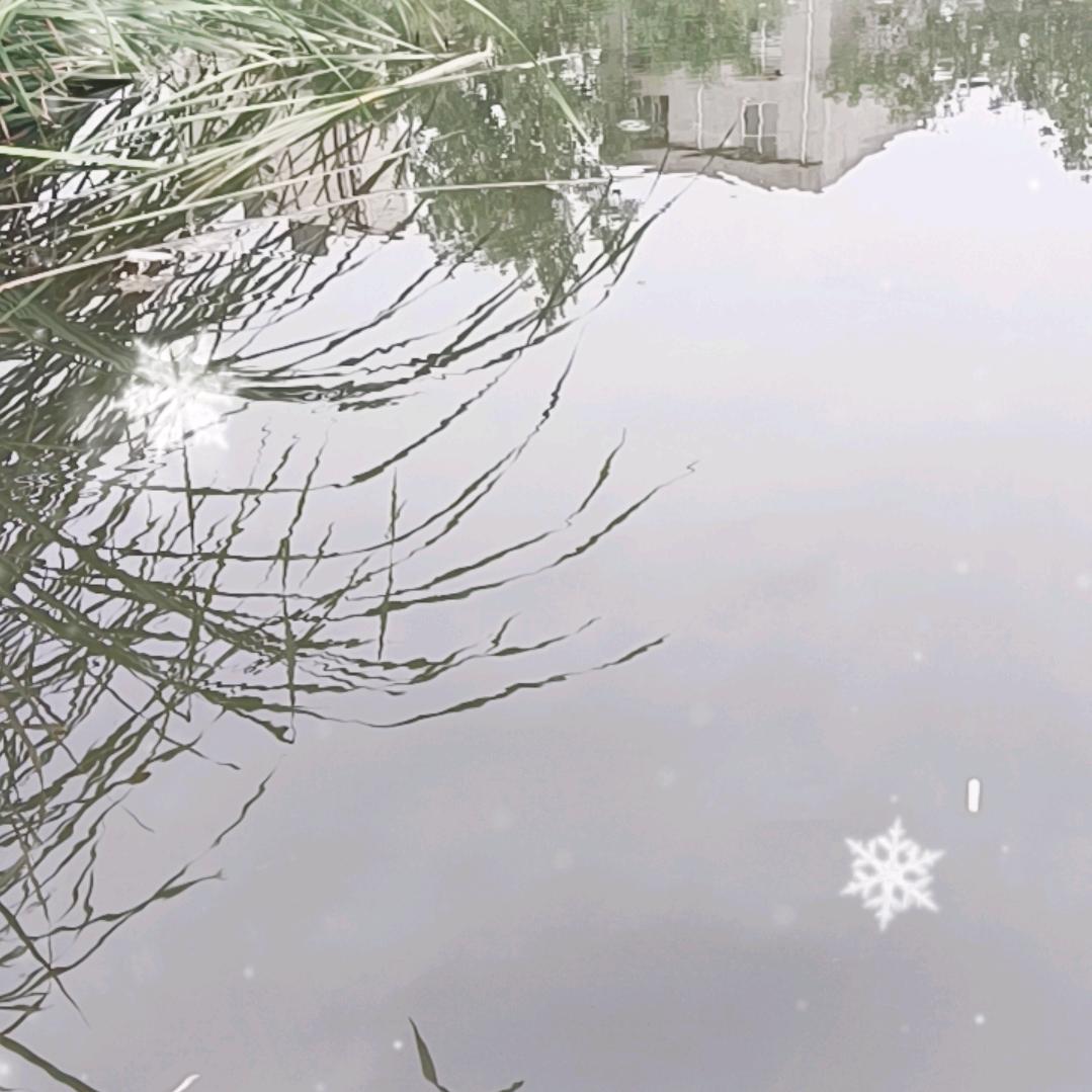 郭大刚爱搞笑