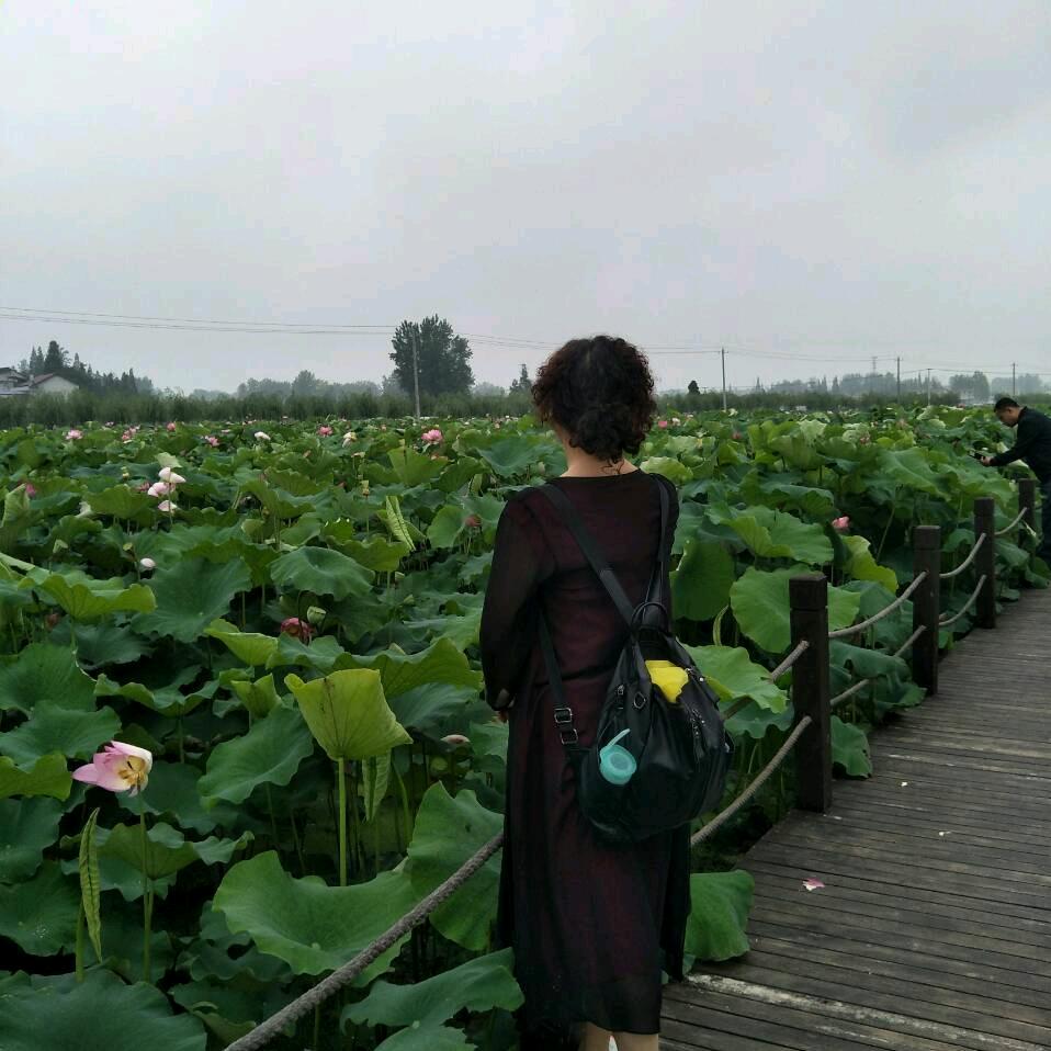 蓝馨