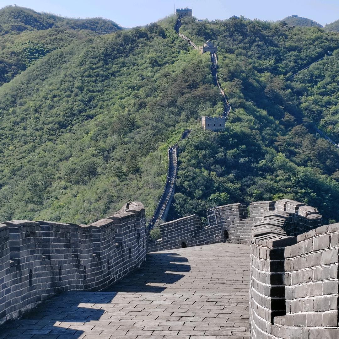 向阳花开