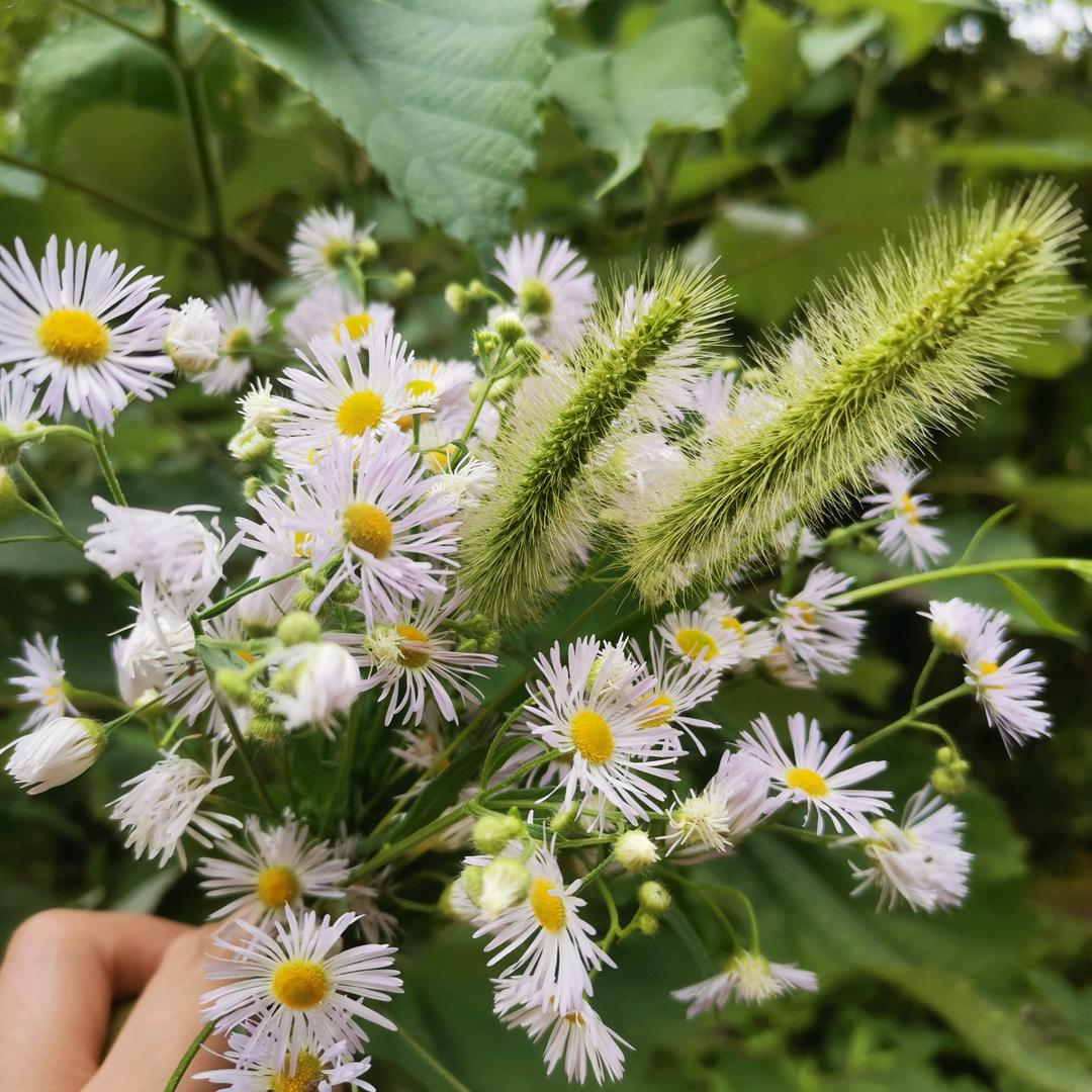 人生百态？？？！！！