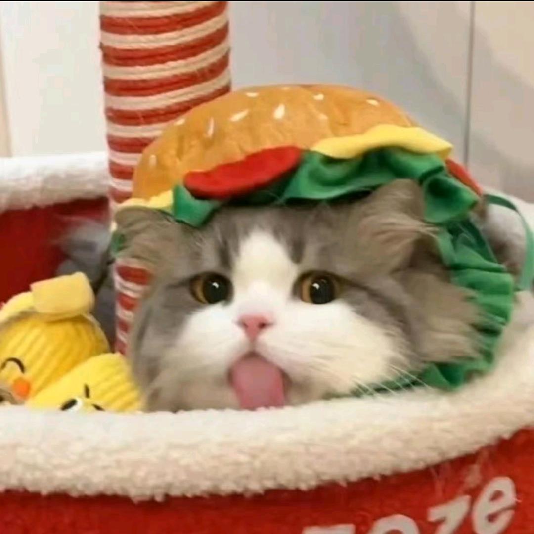 ✿゛
