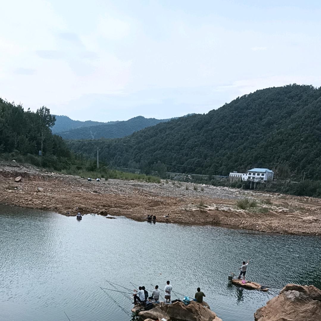 剑剑喂鱼