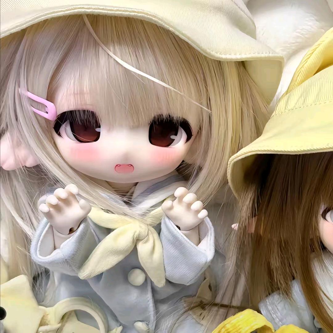 Q´･ᴗ･`