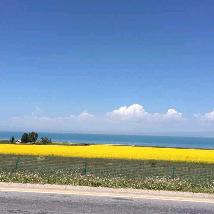 西安旅游免费咨询