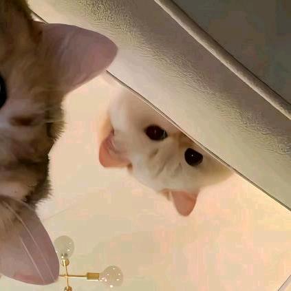 我是佳佳 亚亚是我的好朋友