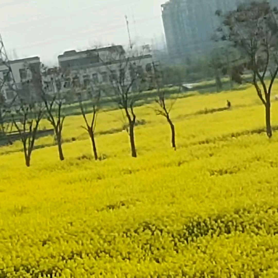 云镇