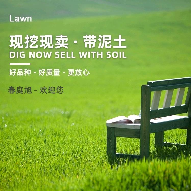 春庭旭园艺场