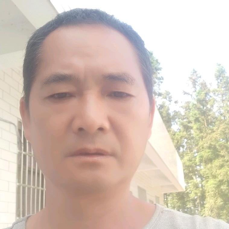 花中有毒、杨