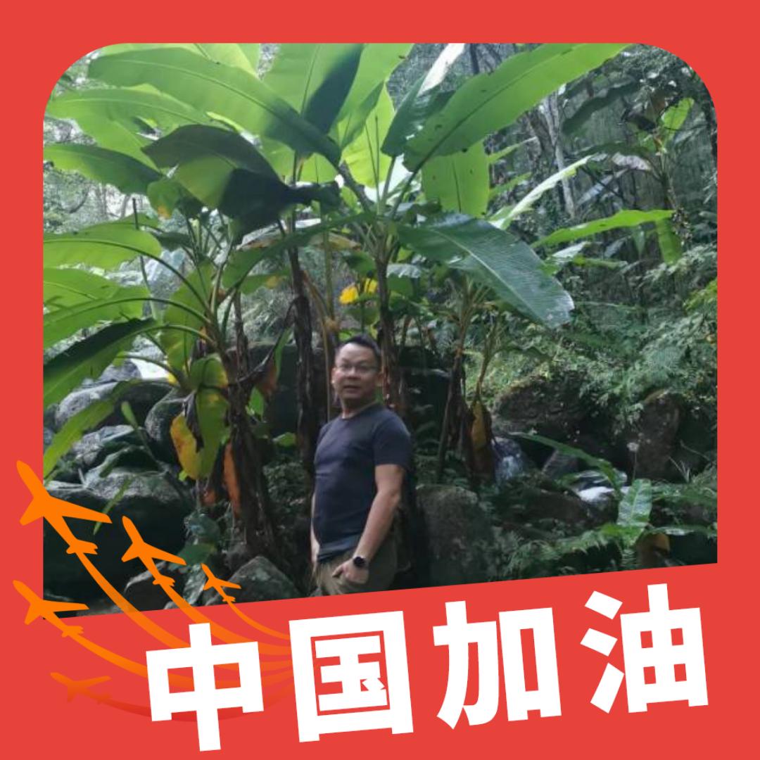 @夏阳氮化硅