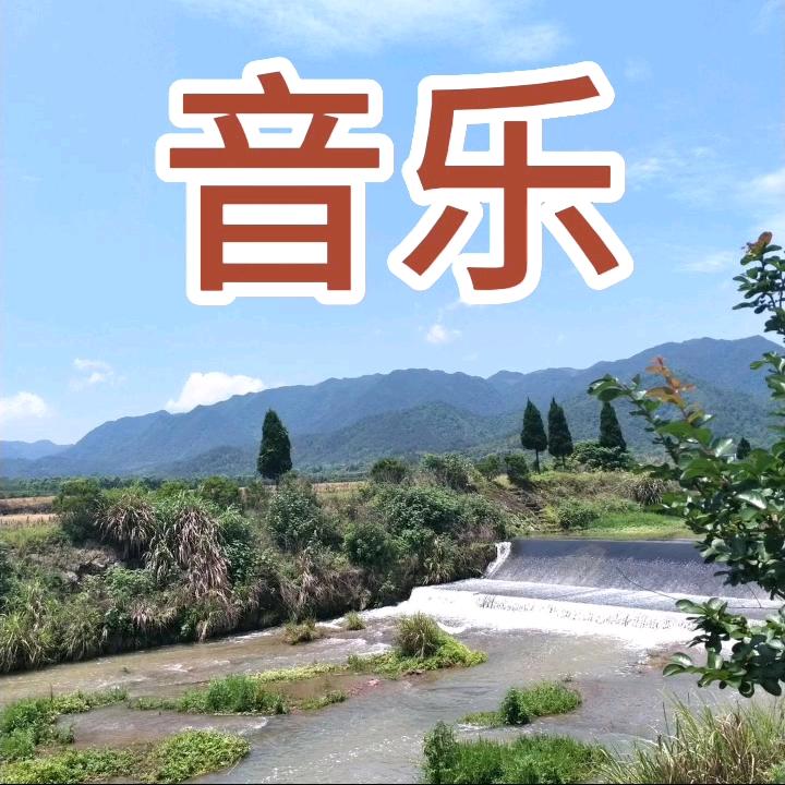 音乐🎶星空