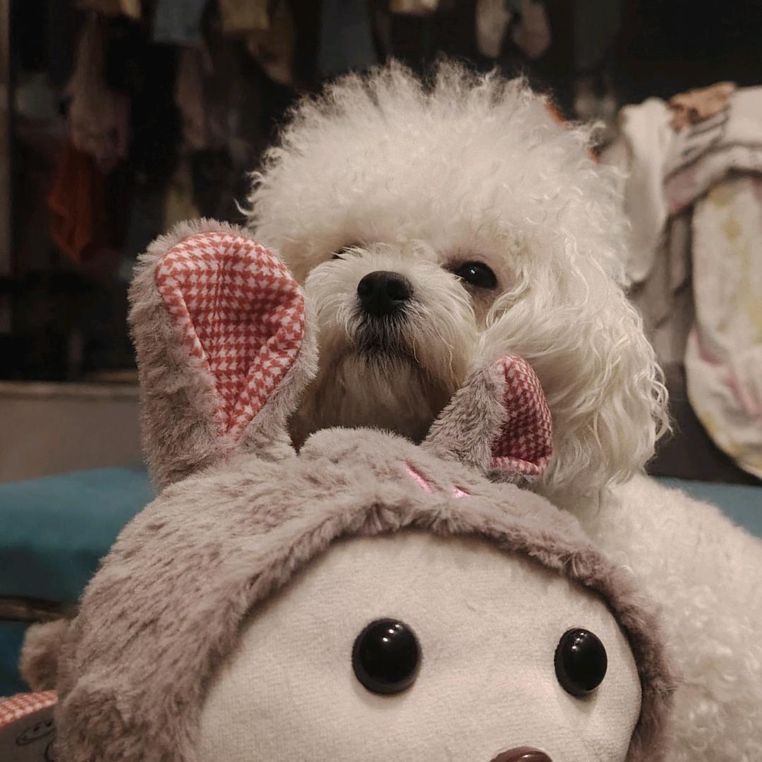 樱桃🍒罗贝尔陶瓷。