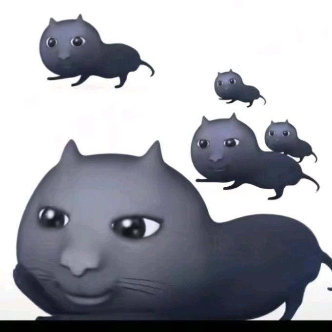 牡小丹