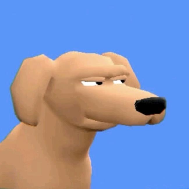 pipi