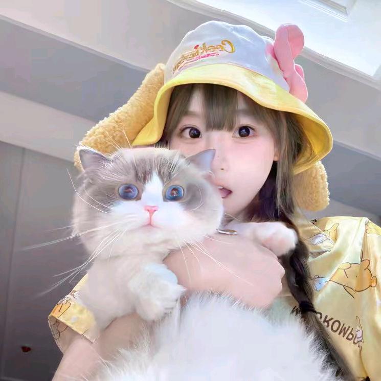 一起养只猫吧