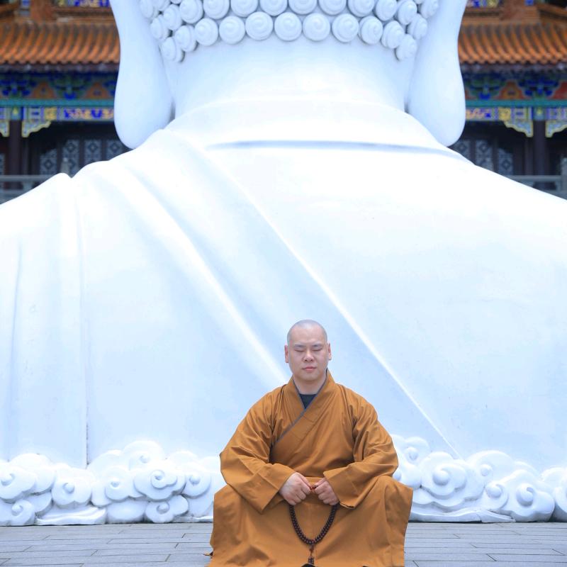 释照涛