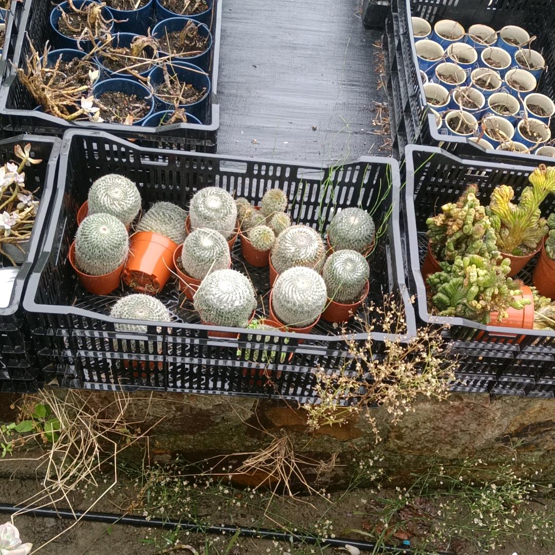 钱塘江（土哥）