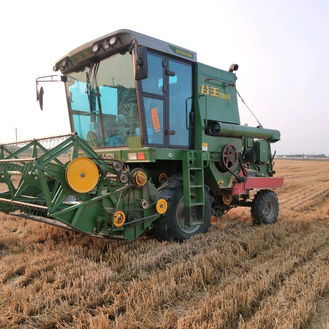 🇨🇳 震哥 🇨🇳