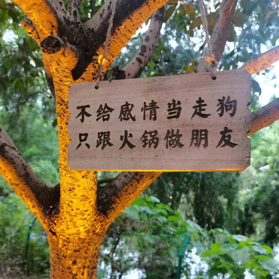 婉婉