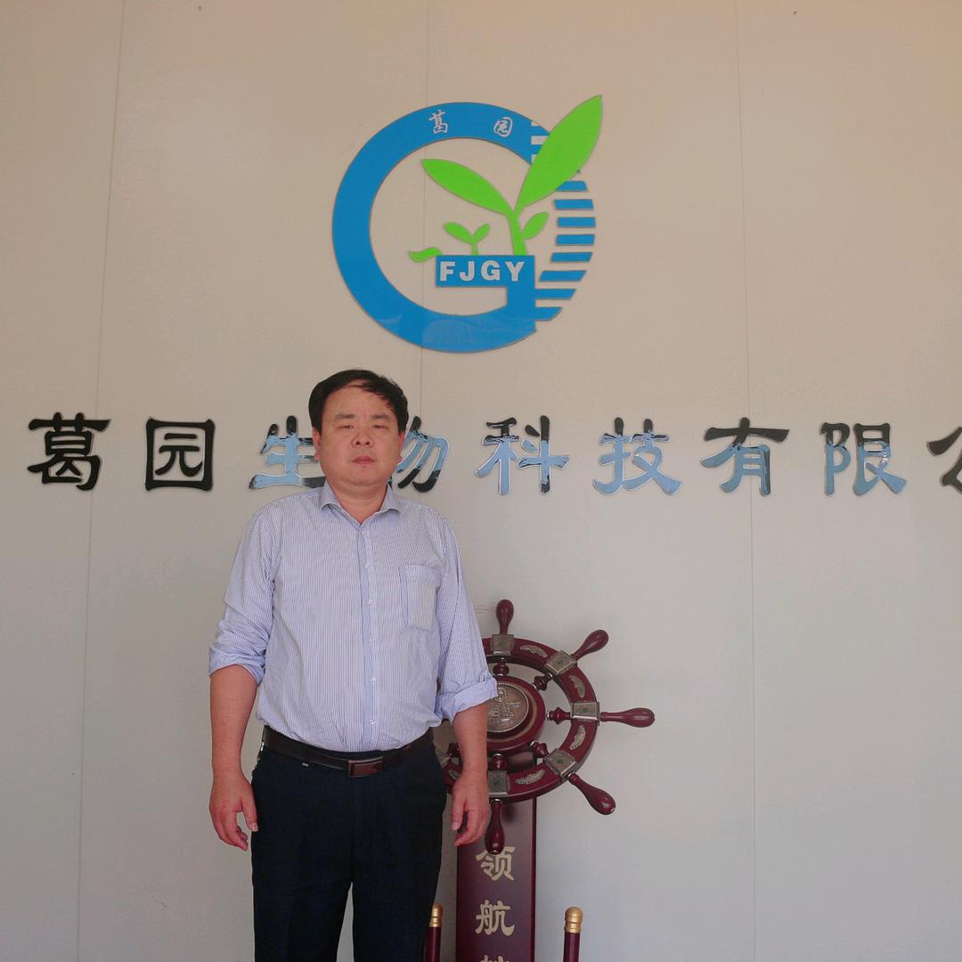 葛园金线莲