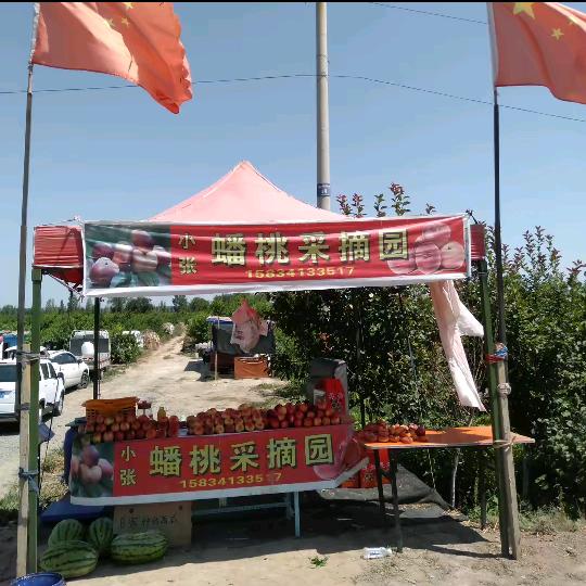 小张蟠桃釆摘园