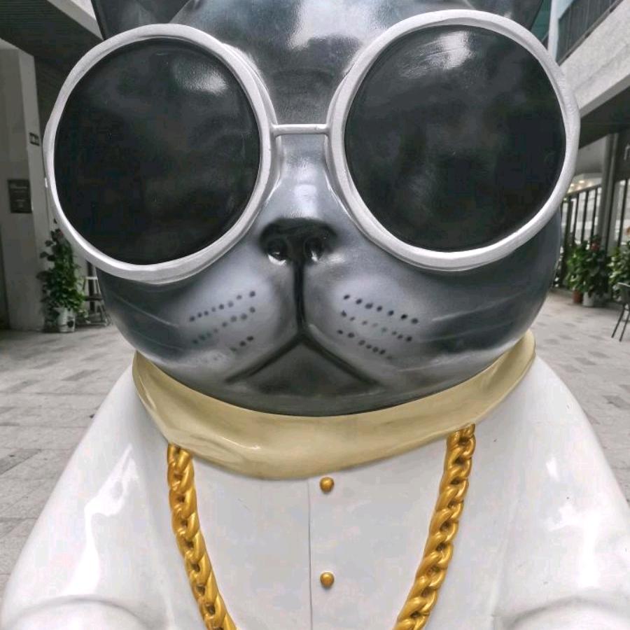 光羽佳