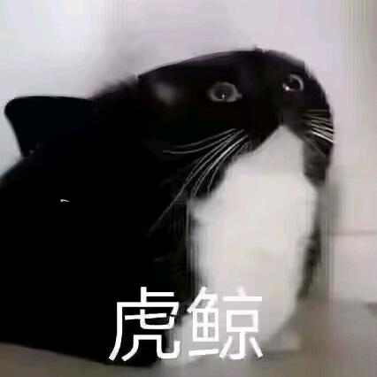 又来挨打啦