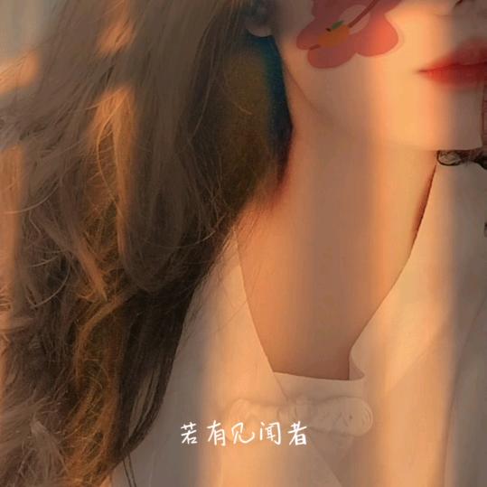 娇柔小兔