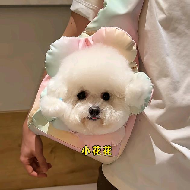 显眼“包”