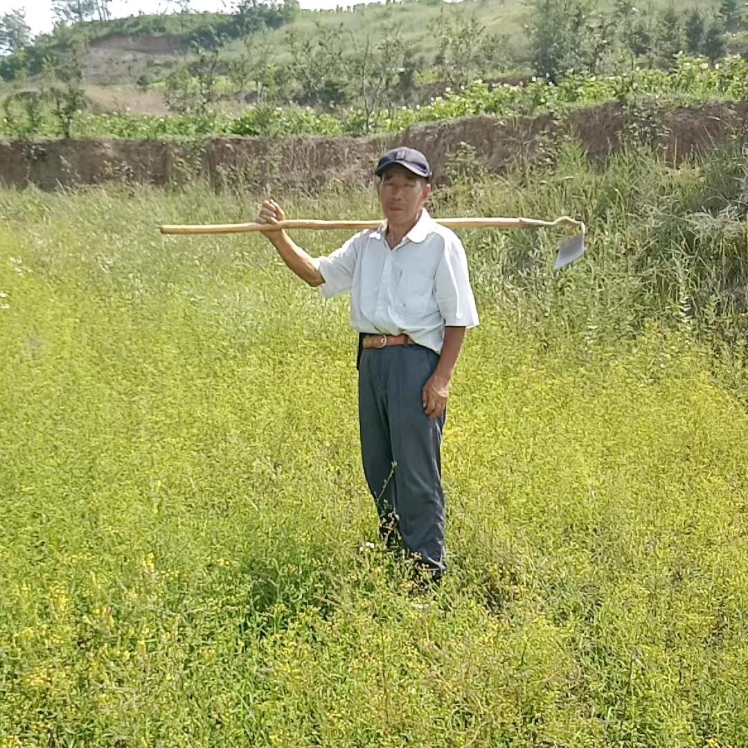 万事顺意