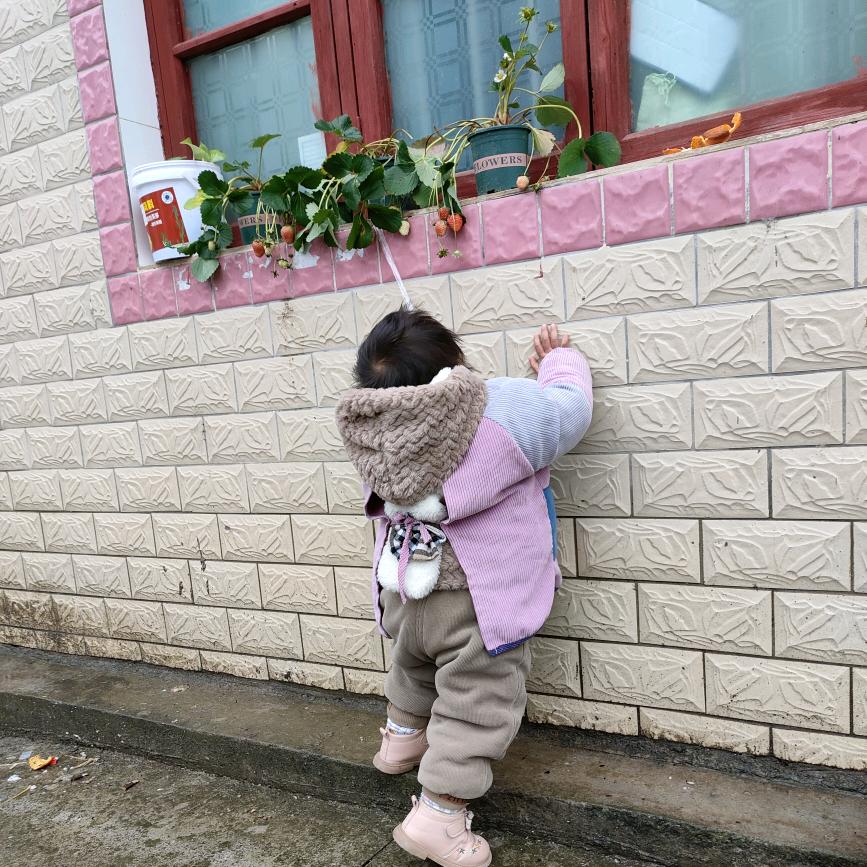 不会钓鱼的钓手