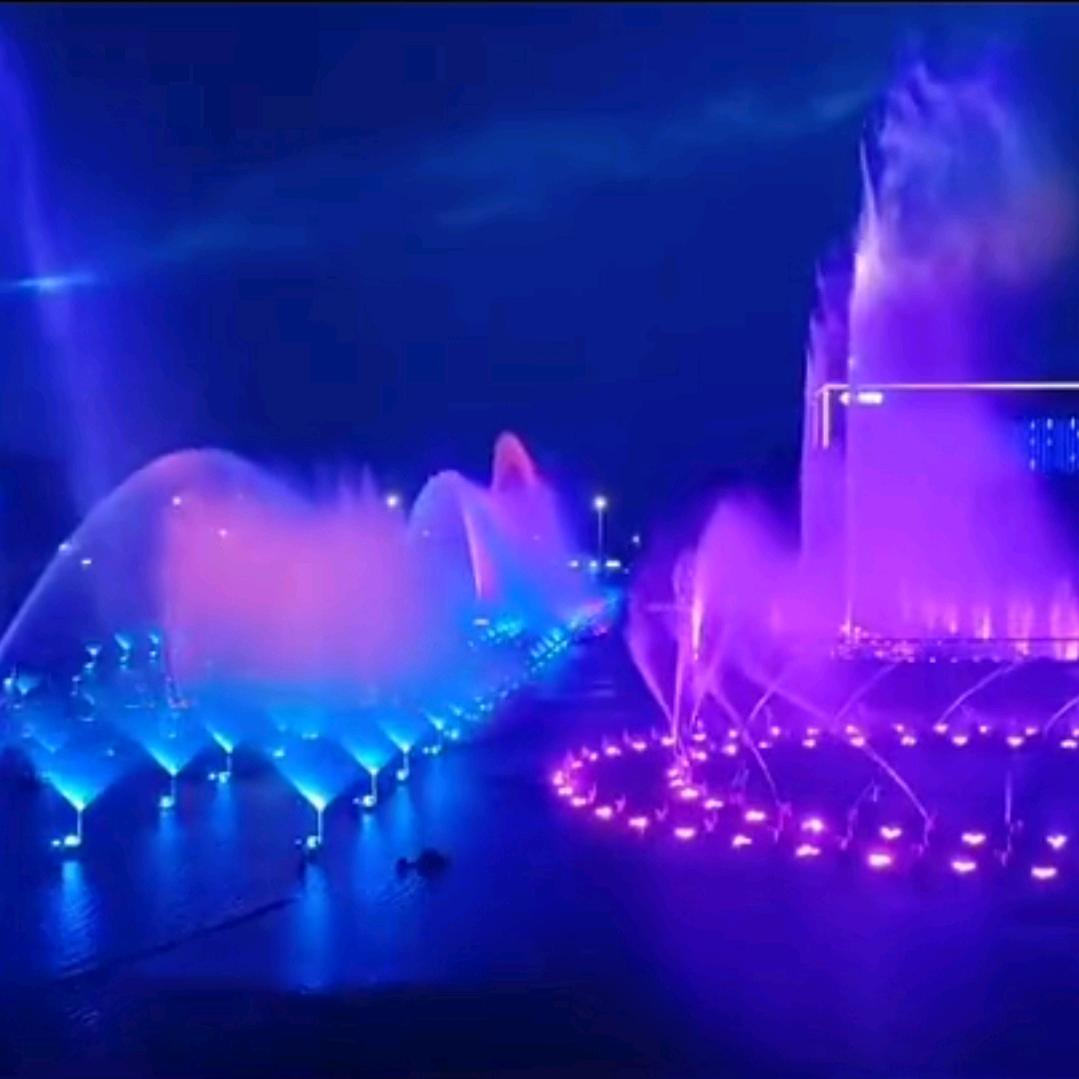 纵横四海3605373870240