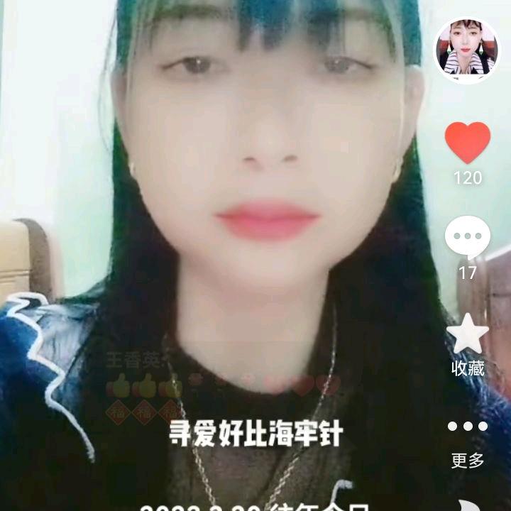 梅花和桃花