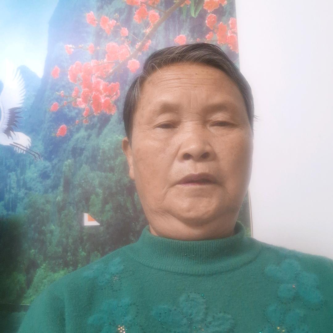 卢凤美